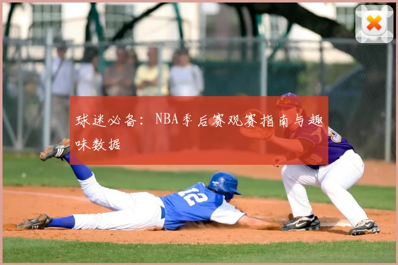 球迷必备：NBA季后赛观赛指南与趣味数据