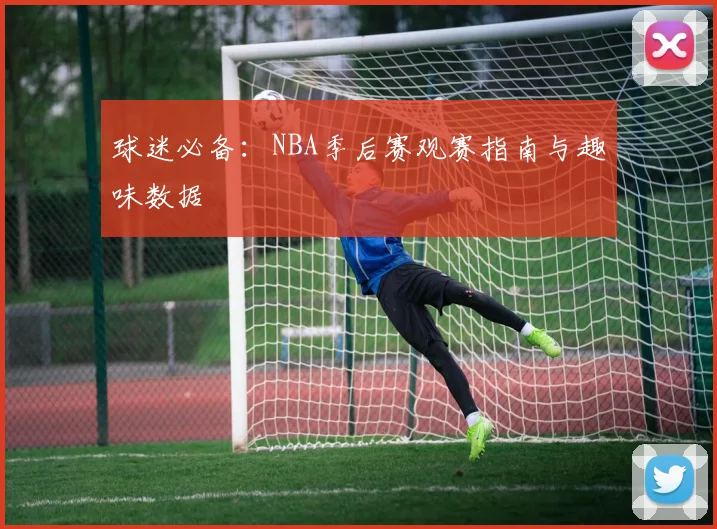 球迷必备：NBA季后赛观赛指南与趣味数据